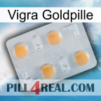 Vigra Gold Pill 24